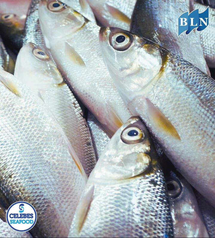 This is How The Nutritional Content of Milkfish is Suitable for Serving on Chinese New Year